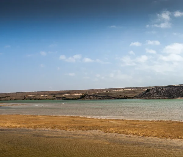 Parque Nacional Souss Masa — Fotografia de Stock