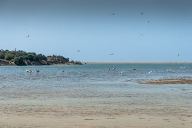 Souss masa Milli Parkı