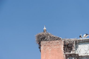 Marrakesh Şehir Manzaralı