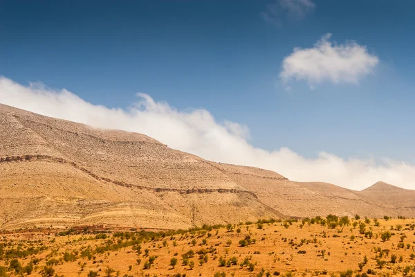 摩洛哥的景观 — 图库照片