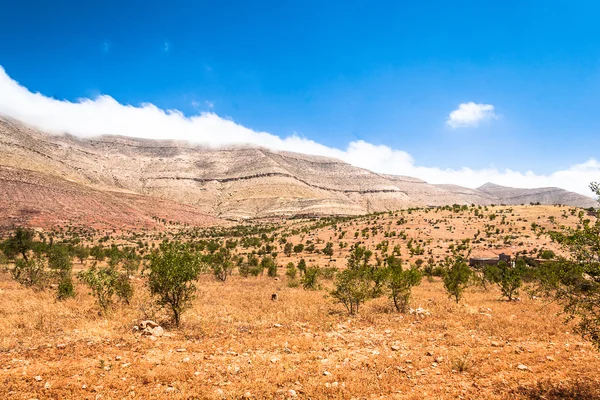Landskapet i Marocko — Stockfoto