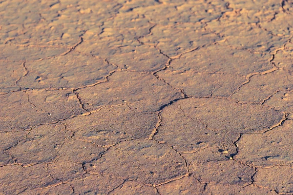 Textura del suelo agrietada —  Fotos de Stock