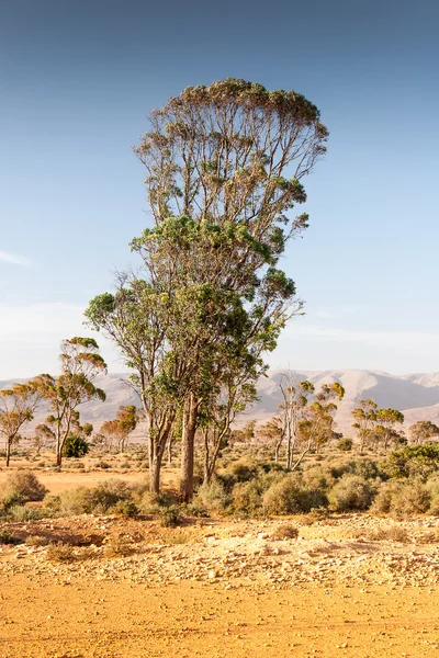 Landscape of Morocco — Stock Photo, Image