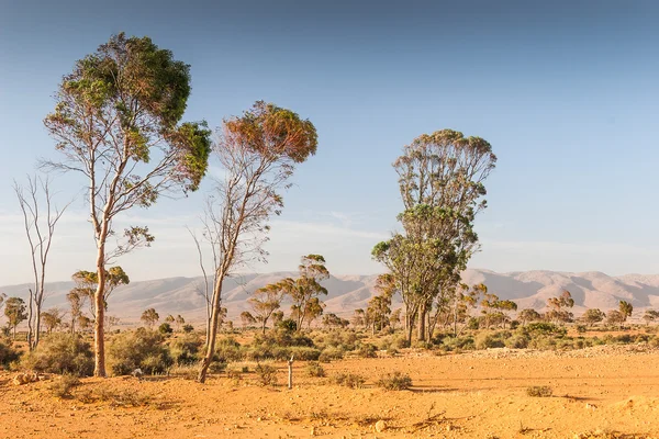 Krajobraz Maroko — Zdjęcie stockowe