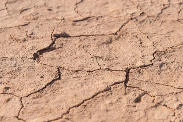 Struttura a terra screpolata — Foto Stock