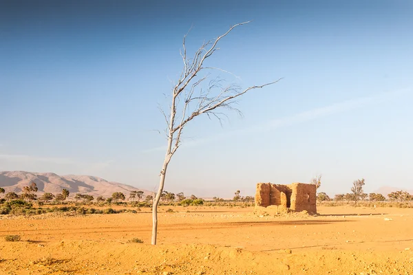 Paisaje de morocco — Foto de Stock