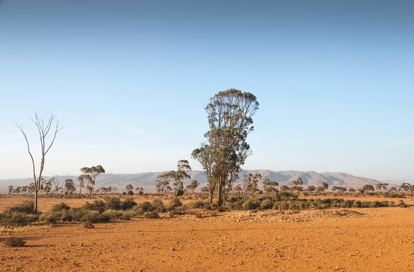 Landscape of Morocco — Stock Photo, Image