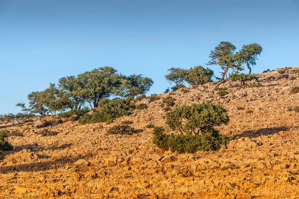 Paisagem de Marrocos — Fotografia de Stock