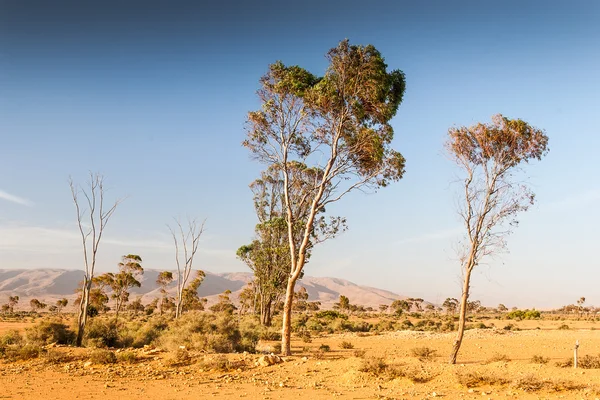 Landscape of Morocco — Stock Photo, Image