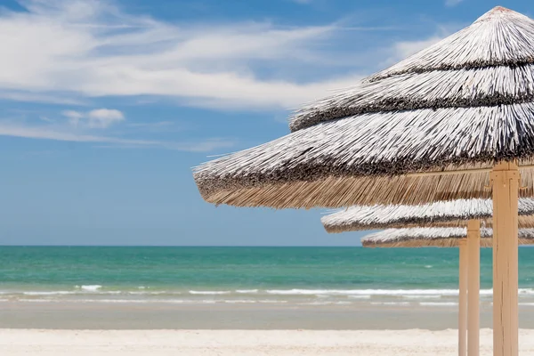 Umbrellas on the beach — Stock Photo, Image