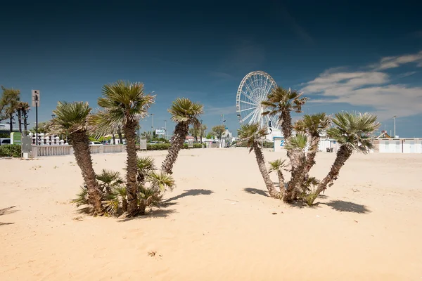 Spiaggia di Rimini — Foto Stock