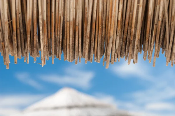 Sombrillas en la playa — Foto de Stock