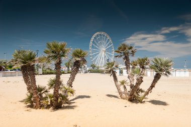 Rimini Beach