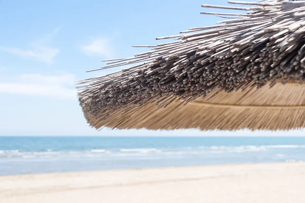 Umbrellas on the beach — Stock Photo, Image