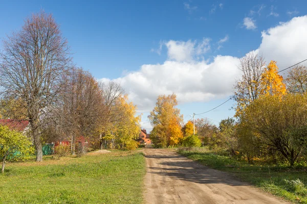 Autumn forest — Stock Photo, Image