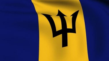 Barbados bayraklı ilmekledi