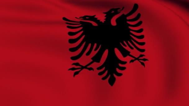 Vlag van Albanië lus — Stockvideo