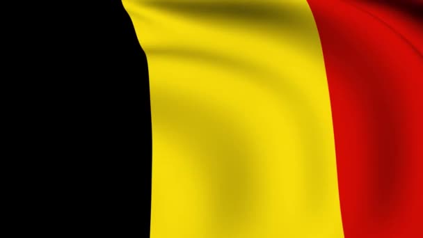 悬挂国旗的比利时圈 — 图库视频影像