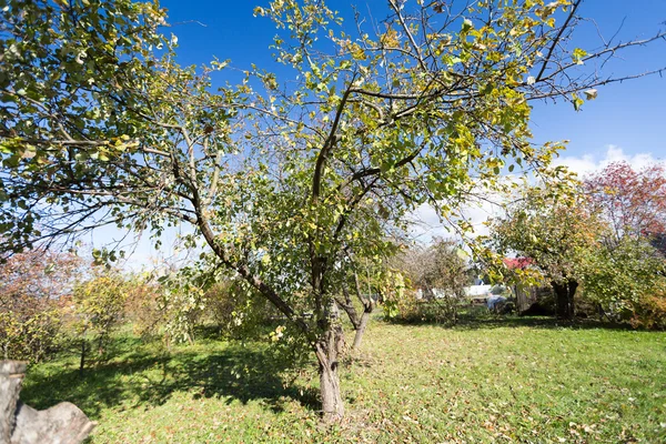 Høstens hage – stockfoto