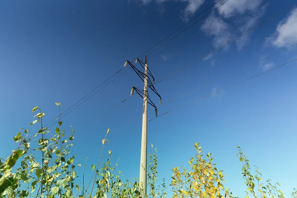 Elektrické vedení — Stock fotografie