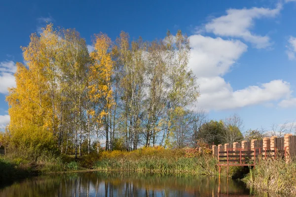 Herfstbos — Stockfoto