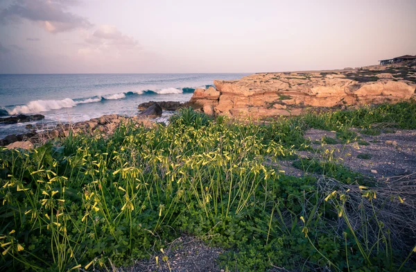 Natur på norra Cypern — Stockfoto