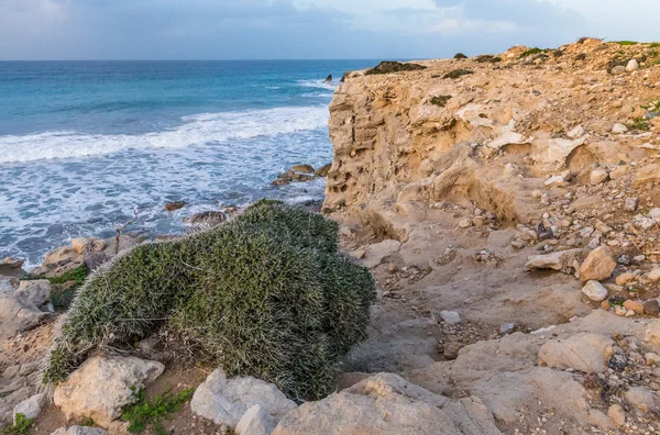 Природа Северного Кипра — стоковое фото