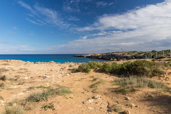 Naturaleza de Chipre — Foto de Stock