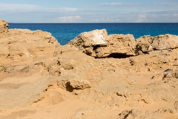 Natureza do cyprus — Fotografia de Stock