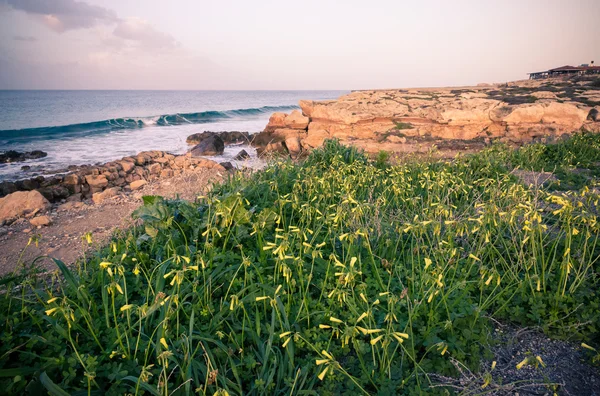 Natur på norra Cypern — Stockfoto