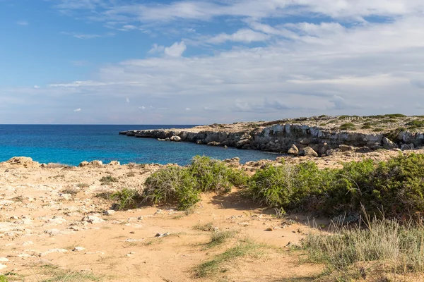 Nature of Cyprus — Stock Photo, Image