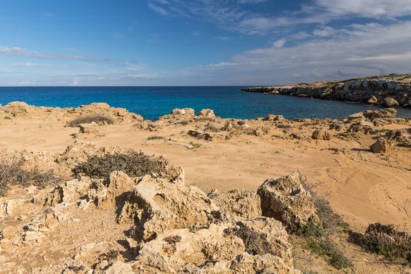 Natura di Cipro — Foto Stock