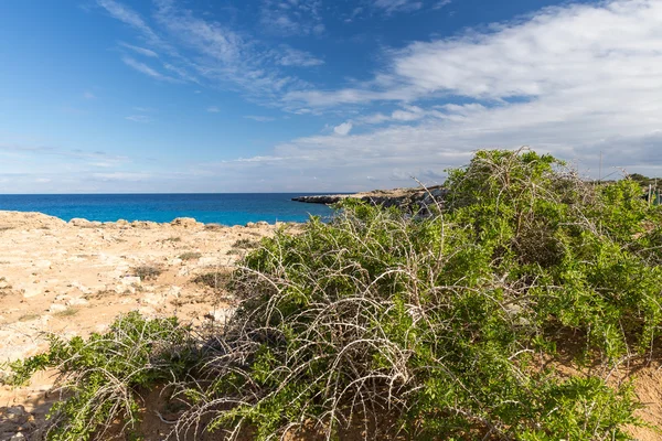 Naturaleza de Chipre — Foto de Stock
