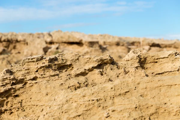 Natureza do cyprus — Fotografia de Stock