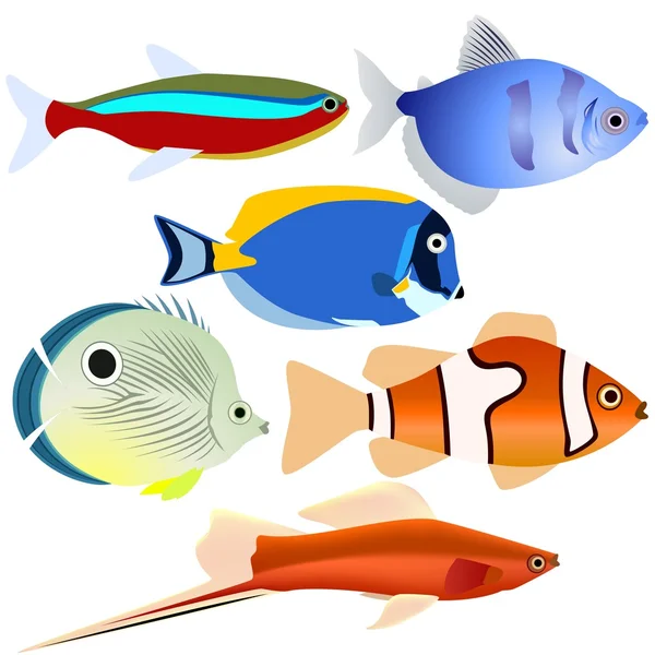 Pesce d'acquario-1 — Vettoriale Stock
