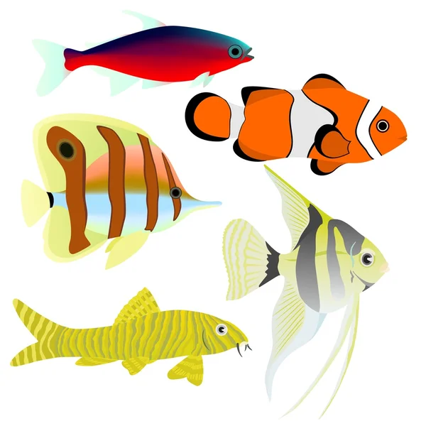 Sammlung von Aquarienfischen — Stockvektor