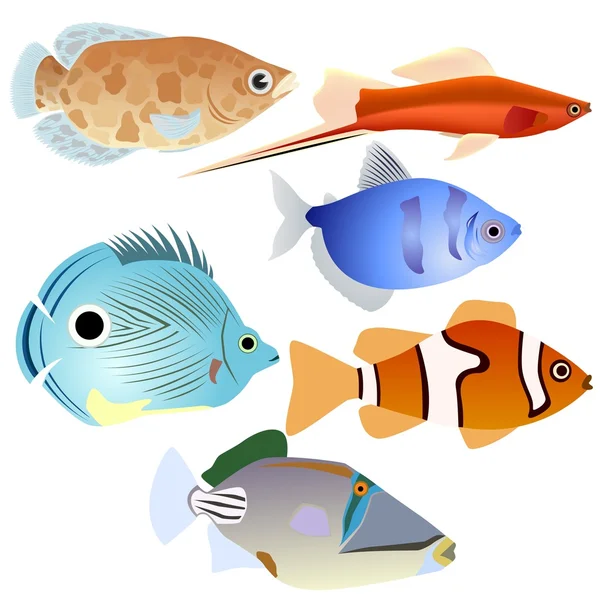 Akwarium ryb-4 — Wektor stockowy