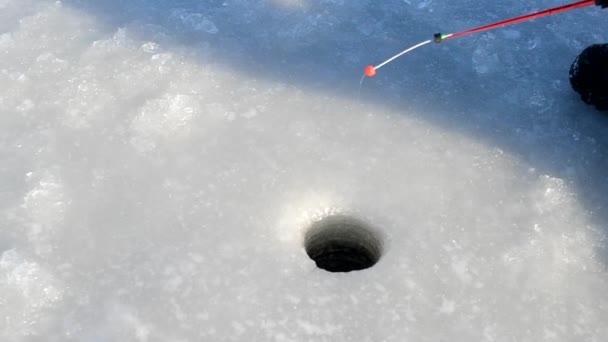 Canna da pesca per la pesca invernale — Video Stock