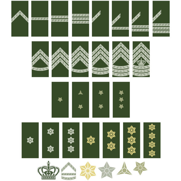 Знаки различия ВС Дании-1
