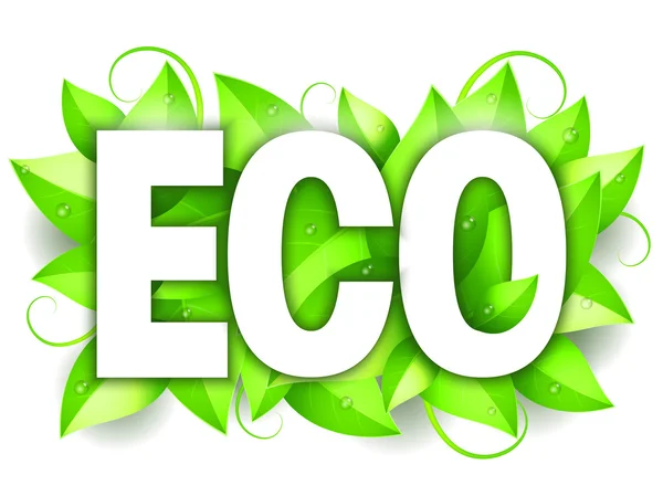 Eco Word en bladeren — Stockvector