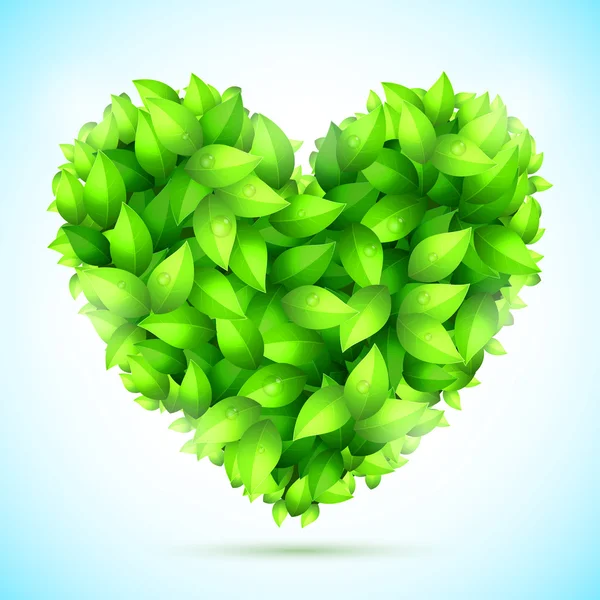 Zöld levelek Szív — Stock Vector