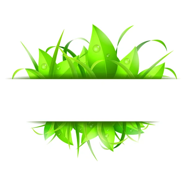 Groen gras en bladeren Banner — Stockvector