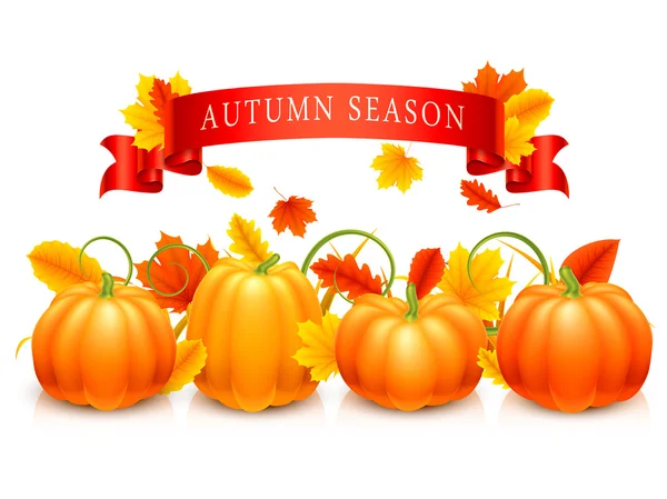 Calabazas y hojas de otoño — Vector de stock