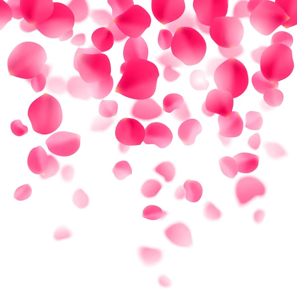 Red Rose Petals Background — Stock Vector