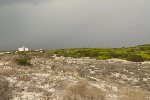 Storm over the dunes — Stock Photo, Image