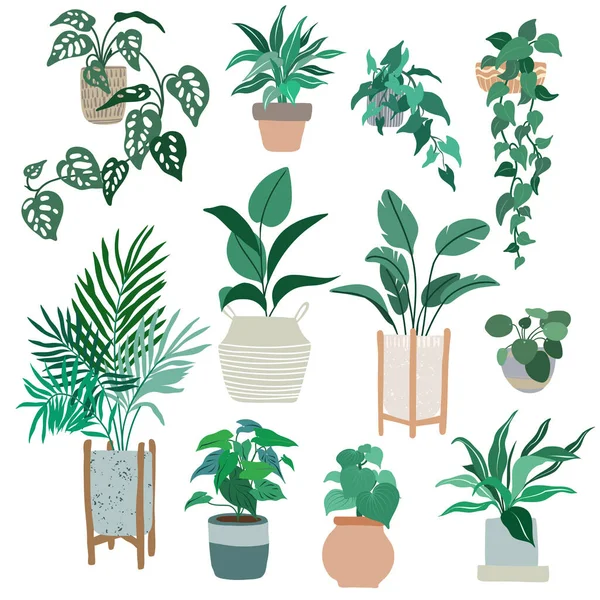 Plantas de casa en macetas, a la moda dibujado a mano plana — Archivo Imágenes Vectoriales