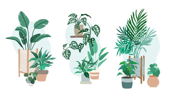Trois compositions à base de plantes de maison en pot — Image vectorielle