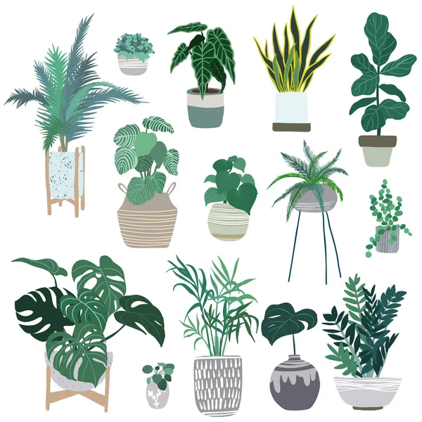 Plantes d'intérieur dans des pots, à la mode dessiné à la main plat — Image vectorielle