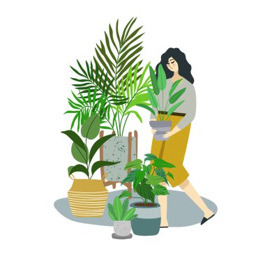 Genç kadın ev bitkileriyle ilgileniyor.
