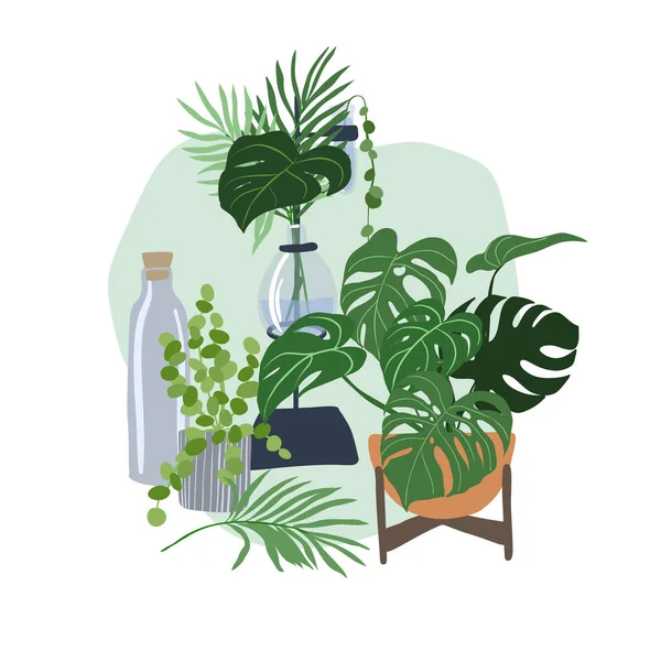 家庭植物组合与玻璃瓶 — 图库矢量图片